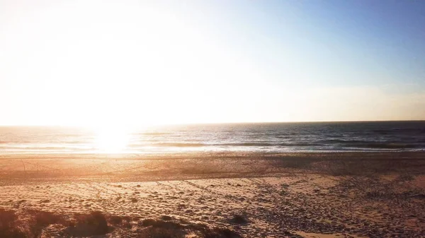 Aerial view of beach and sand dunes at sunset in Murtosa, Aveiro - Portugal. Aerial view.