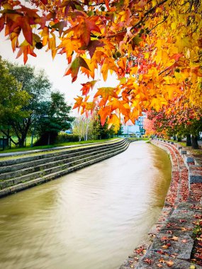 Portekiz 'in Ovar kentindeki şehir parkında sonbahar öğleden sonrasının panoramik görüntüsü.