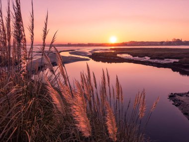 Gün batımı görünümü'Ria de Aveiro, Ovar, Portekiz.