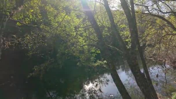 葡萄牙Vila Real的Corgo河城市公园沿线的Hiker观点 — 图库视频影像