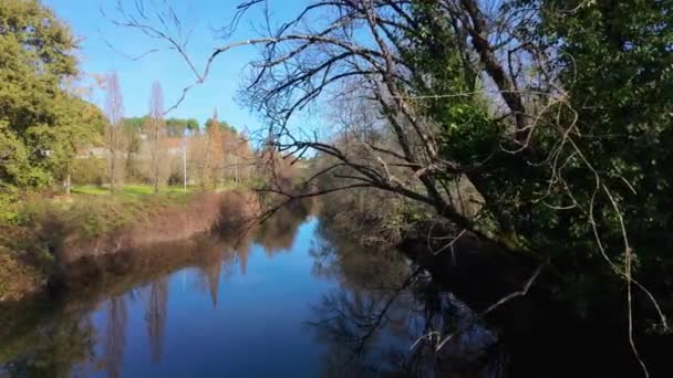Όψη Πεζοπόρου Κατά Μήκος Του Πάρκου Της Πόλης Του Ποταμού — Αρχείο Βίντεο