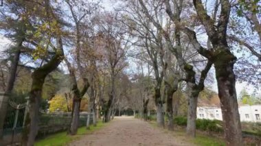 Bornes de Aguiar, Portekiz - 21 Kasım 2023: Yürüyüşçünün Parque Termal de Pedras Salgadas boyunca bakış açısı.
