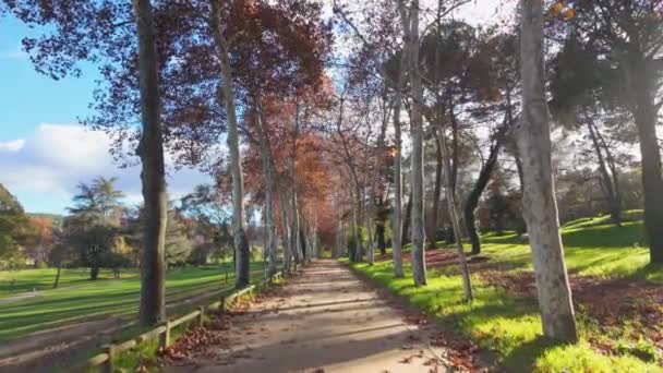 Відаго Португалія Листопада 2023 Року Точка Зору Пішохода Вздовж Саду — стокове відео