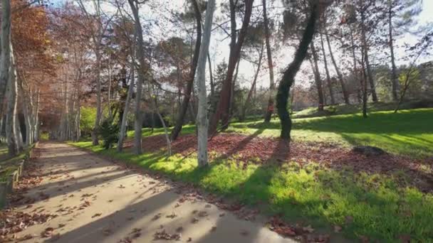 Vidago Portugalia Listopada 2023 Punkt Widzenia Turysty Wzdłuż Ogrodu Pałacu — Wideo stockowe