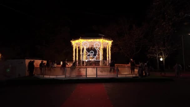 Оливейра Аземеис Португалия Декабря 2023 Года Рождественские Огни Украшающие Парк — стоковое видео