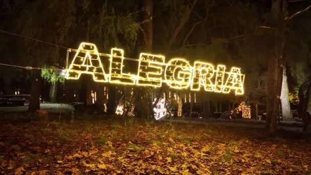 Оливейра Аземеис Португалия Декабря 2023 Года Рождественские Огни Украшающие Парк — стоковое видео