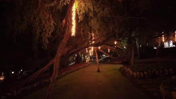 Oliveira Azemeis Portugal Dezember 2023 Ein Spaziergänger Betrachtet Die Weihnachtsbeleuchtung — Stockvideo