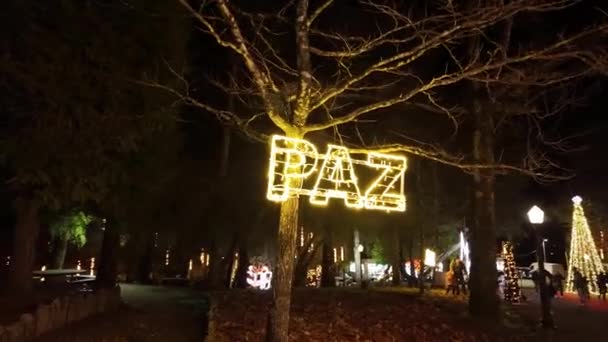 Oliveira Azemeis Portugal December 2023 Walker Point View Christmas Lights — Stock Video