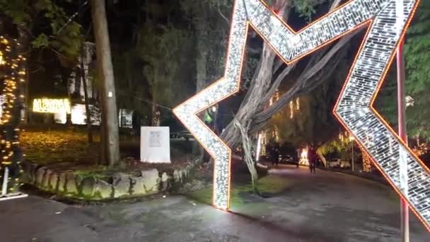 Oliveira Azemeis 포르투갈 2023 크리스마스 살레트 공원을 장식하는 크리스마스 불빛의 — 비디오