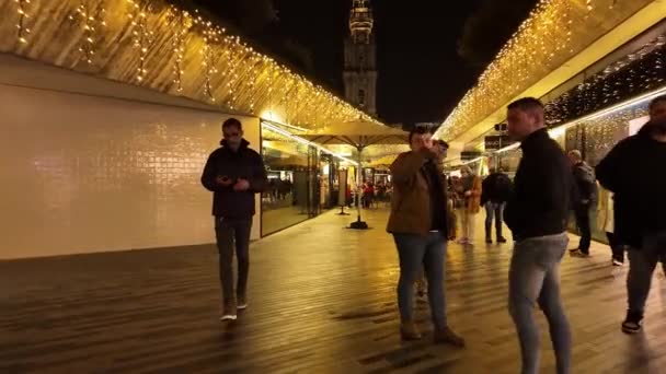 Porto Portugalia Grudnia 2023 Świąteczne Dekoracje Ulicach Miasta Nocne Życie — Wideo stockowe