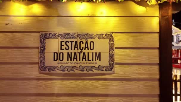 Estarreja Portugal December 2023 Різдвяні Прикраси Вулицях Міста Різдвяний Ринок — стокове відео