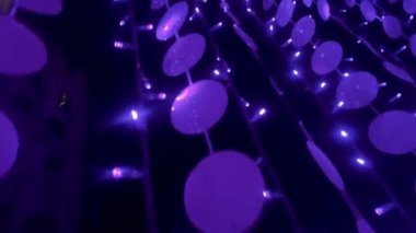 OVAR, PORTUGAL - 10 Aralık 2023: Şehir sokaklarındaki Noel süsleri 2-7 Ocak tarihleri arasında asılacak.