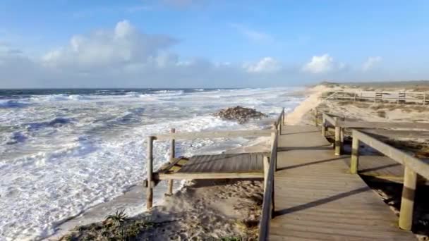 Ovar Portugal February 2024 Storm Karlota Worsens Fragile Dune Protection — Stock Video