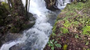 Tabua, Coimbra 'daki Trilho dos Gaios boyunca Cavalo Nehri' ndeki şelaleye bakın..