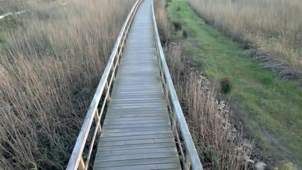 Wooden Structure Footbridges Barrinha Esmoriz Water Paramos Lagoon Portugal — Stock Video