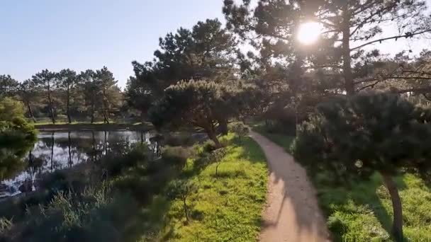Живописный Вид Природный Парк Букакинью Овар Север Португалии — стоковое видео