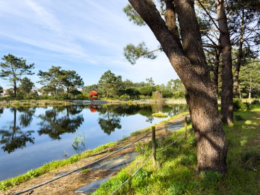 Bucaquinho Tabiat Parkı, Ovar, Portekiz kuzeyinde doğal görünümünü.