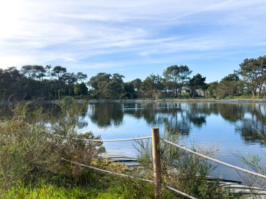 Bucaquinho Tabiat Parkı, Ovar, Portekiz kuzeyinde doğal görünümünü.