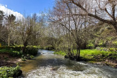Tabua, Coimbra 'daki Trilho dos Gaios boyunca Cavalo Nehri' ne bakın..