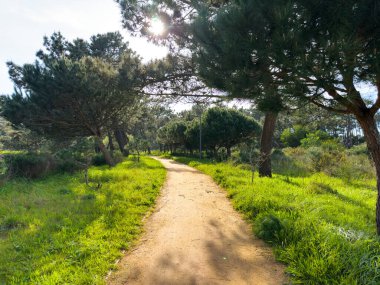 Bucaquinho Tabiat Parkı, Ovar, Portekiz kuzeyinde doğal görünümünü.
