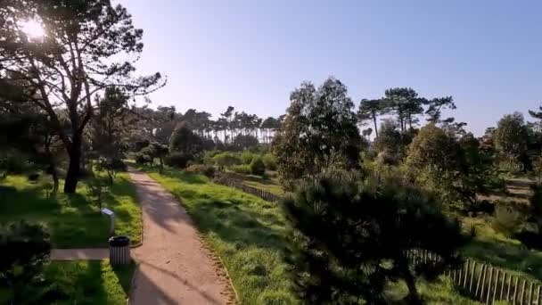Vista Panoramica Del Parco Naturale Bucaquinho Ovar Nord Del Portogallo — Video Stock