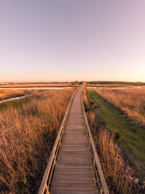 Barrinha de Esmoriz 'in yaya köprülerindeki ahşap yapı. Portekiz, Paramos lagününden gelen su..