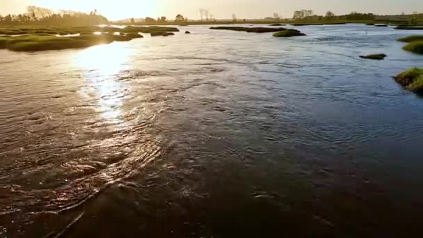 Hydrofoil Jezdec Klouzající Vodě Prknem Jednom Kanálů Ria Aveiro Portugalsku — Stock video