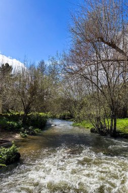 Tabua, Coimbra 'daki Trilho dos Gaios boyunca Cavalo Nehri' ne bakın..
