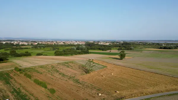 Luftaufnahme Der Ländlichen Landschaft Der Nähe Der Lagune Von Aveiro Stockbild