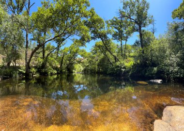 Berrak mavi bir gökyüzünün altında canlı yeşil bir ormanın içinde kıvrılan sakin bir nehir. Guarda - Portekiz.