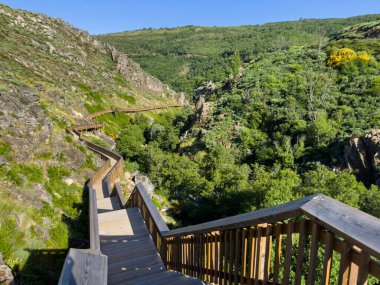 Bereketli yeşil tepeler berrak mavi bir gökyüzünün altında manzaralı bir ahşap geçit oluşturur. Guarda - Portekiz.