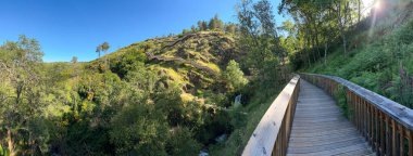 Güneşli bir yamaçta kır çiçekleriyle süslenmiş ahşap bir patika dolanıyor. Guarda - Portekiz.