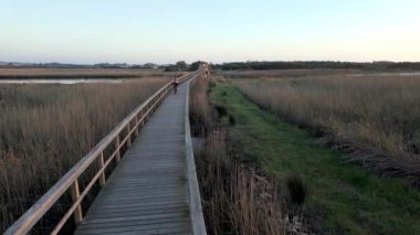 Ovar, Portekiz - 13 Mart 2024: Uçsuz bucaksız bir sulak arazi boyunca uzanan tahta bir tahta tahta kaldırım boyunca bisiklet süren bir bisikletçi. Batan güneş, manzaranın üzerine sıcak bir ışık saçıyor..