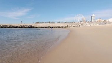 Figueira da Foz, Portekiz - 12 Kasım 2024: Figueira da Foz plajı sakin bir deniz ve uzak bir dönme dolap. Figueira da Foz uzun kumlu plajları ve canlı sahil atmosferiyle tanınır..