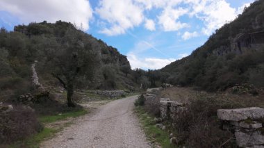 Buracas do Casmilo, Condeixa, Portekiz yakınlarındaki kayalık yamaçlı dar bir vadiden geçen toprak yol. Zeytin ağaçları ve dağınık bulutlu mavi gökyüzünün altında dağılmış taş duvarlar..