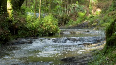 Portekiz 'in Ovar belediyesindeki Ara ve Maceda kiliselerini bölen Estanislau çeşme parkı ve Lourido nehrinin çevresini çevreleyen manzara.