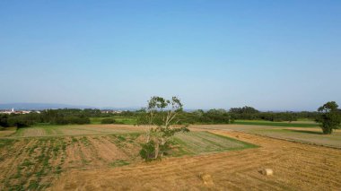 Kırsal bir arazinin panoramik görüntüsü, yuvarlanan tarlalar, yalnız bir ağaç, ve açık mavi gökyüzünün altında küçük bir kasaba..