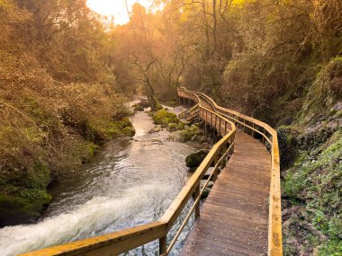 Dolambaçlı ahşap bir yol Cascata do Outeiro yakınlarındaki güneşli bir ormandan akan bir nehri takip ediyor. Altın ışık, Oliveira de Azemeis 'in doğal güzelliğini vurgulayan sıcak ve davetkar bir atmosfer yaratır..
