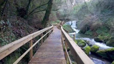 Ağaçtan bir yürüyüş yolu, Cascata do Outeiro yakınlarında çağlayan bir şelaleyi andırıyor. Sahne, Oliveira de Azemis 'teki bu manzaranın keşfine davetiye çıkarıyor..
