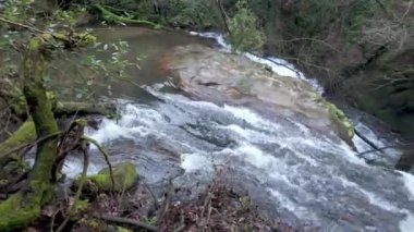 Bir çağlayan şelale, yemyeşil ve Cascata do Outeiro yakınlarındaki ahşap bir geçitle çerçevelenmiş bir havuza dalıyor. Sahne, Oliveira de Azemis 'teki bu doğal harikanın dinamik enerjisini yakalar..