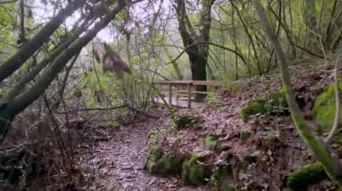 Dolambaçlı bir yol, sık bir ormanın içinden Cascata do Outeiro yakınlarındaki ahşap bir köprüye çıkar. Sahne, Oliveira de Azemis 'te bir gizem ve keşif hissi uyandırıyor..