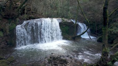 Güçlü bir şelale yosunlu kayaların üzerinden Cascata do Outeiro 'daki bir havuza dökülüyor. Çevresindeki orman Oliveira de Azemeis 'te sakin ve manzaralı bir ortam yaratır..