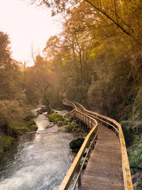 Dolambaçlı ahşap bir yol Cascata do Outeiro yakınlarındaki güneşli bir ormandan akan bir nehri takip ediyor. Altın ışık, Oliveira de Azemeis 'in doğal güzelliğini vurgulayan sıcak ve davetkar bir atmosfer yaratır..