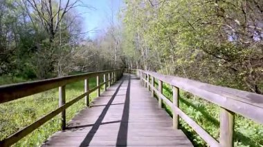 Parque das Ribeiras 'ta, yeşil çayırlarla ve parlak gökyüzünün altındaki ağaçlarla çevrili, kıvrımlı, ahşap bir yürüyüş yolu..