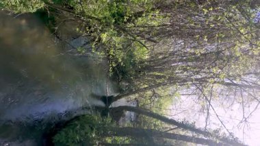Uma nehri yavaşça Parque das Ribeiras 'tan akar, güneş ışığı ağaçların arasından süzülür, suların yüzeyine yansımalar yayar, yemyeşil kıyılarla çevrilidir..