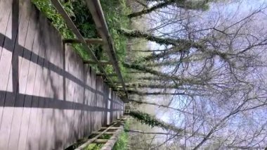 Ağaçlar ve yeşilliklerle çevrili Park das Ribeiras 'ta uzun tahta kaldırımlar, parlak bir gökyüzünün altında yol boyunca uzanan gölgeler..