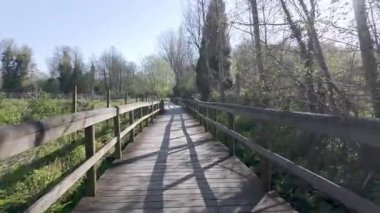 Nehir kenarındaki yemyeşil bir parkta ahşap bir yürüyüş, parlak bir gökyüzünün altındaki tahtalar boyunca uzanan gölgeler..