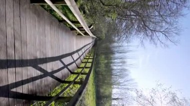 Ağaçlar ve yemyeşil yeşilliklerle çevrili, parlak bir gökyüzü altında uzun gölgeler oluşturan, kıvrımlı ahşap patikalar Parque das Ribeiras boyunca uzanır..