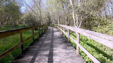 Parque das Ribeiras 'ta, yeşil çayırlarla ve parlak gökyüzünün altındaki ağaçlarla çevrili, kıvrımlı, ahşap bir yürüyüş yolu..