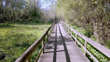 Tahta kaldırım, Parque das Ribeiras boyunca uzanır. Parmaklıkların üzerindeki korkuluklardan dökülen uzun gölgeler. Parlak gökyüzünün altındaki yeşil çayırlar ve ağaçlarla çevrili..
